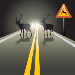 Grafika przedstawiająca dwa jelenie na jezdni, po prawej znak drogowy- uwaga dzikie zwierzęta.