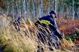 Policjanci przeszukują brzozowy zagajnik