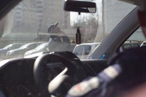 Policjant z telefonem na tle bloku.