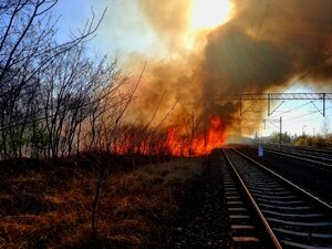 Pożar krzaków i łąki