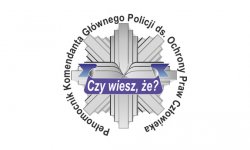Policyjna Gwiazda - grafika z napisem Pełnomocnik KGP do Spraw Ochrony Praw Człowieka.