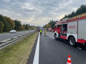 Jezdnia autostrady, po lewej policjantka i strażak, dalej karetka pogotowia samochód dostawczy przy kabinie którego pracują ratownicy. Po prawej wóz strażacki, dalej samochód  osobowy i ciężarowy.