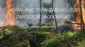 Zdjęcie płonącego lasu i napis - wypalanie traw zabija ludzi, zwierzęta i środowisko