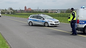 Na zdjęciu policjanci przy radiowozach pilnujący wjazdu na płytę lotniska.