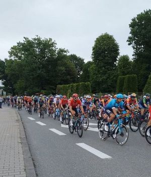 Na zdjęciu widoczny peleton kolarski jadący ulicą.