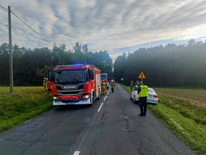 Polno-leśna droga. Po lewej stoi wóz strażacki, widać tam strażaków, po prawej policjant i inne osoby. Jest to miejsce wypadku.