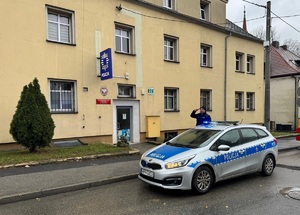 Na zdjęciu policjant przy radiowozie - stoi salutując.