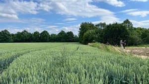 Widok pól niedaleko odnalezionego ciała
