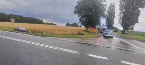 Zdjęcie z wypadku, na którym widzimy skrzyżowanie ulic, samochód w rowie oraz z drugiej strony pojazdy służb.
