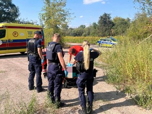 W tle stoi karetka pogotowia, radiowóz policyjny. Ratownicy udzielają pomocy osobie znajdującej się na noszach. Obok stoi trzech policjantów.