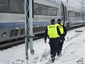 Patrol składający się z policjanta i funkcjonariusz Straży Ochrony Kolei sprawdzają rejon torowiska. Obok jadący pociąg