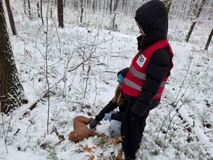 W lesie na ziemi pokrytej śniegiem leży pies. Obok stoi harcerz, który będzie udzielał mu pomocy.
