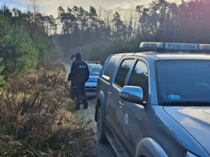 Policjant i Strażnik w lesie podczas patrolu w lesie. Obok stoją pojazdy Straży Leśnej i Policji
