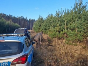 Policjant i Strażnik w lesie podczas patrolu w lesie. Obok stoją pojazdy Straży Leśnej i Policji