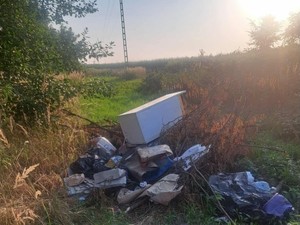 Dzikie wysypisko śmieci w pobliżu lasu