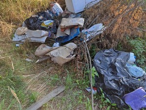 Dzikie wysypisko śmieci w pobliżu lasu