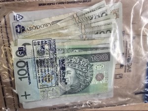 Na zdjęciu zabezpieczone banknoty.