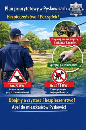 Plakat do prowadzonych przez Policję w Pyskowicach działań priorytetowych.