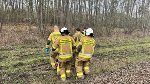 widzimy strażaków niosących nosze przez tory do karetki.