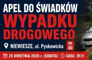 Infografika