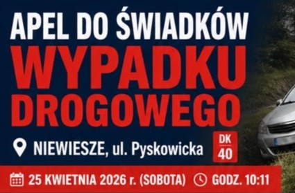Infografika