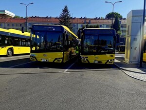 Policjant stoi pomiędzy autobusami i dokonuje ich kontroli