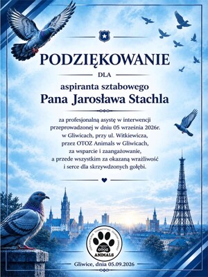 Podziękowania dla Jarosława Stachla