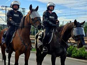 Na koniach policyjnych funkcjonariusze Policji