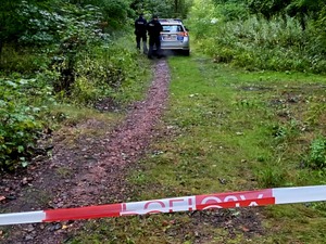Taśma w lesie z napisem POLICJA, za którą stoi oznakowany radiowóz i policjanci