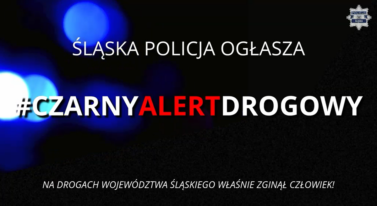 Śmiertelny wypadek samochodowy w Wilczy